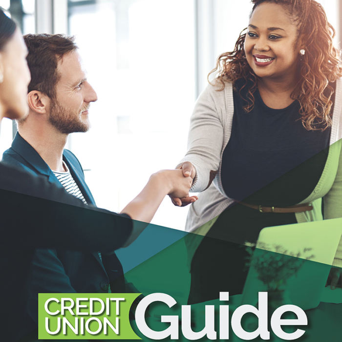 FIS CREDIT UNION GUIDE